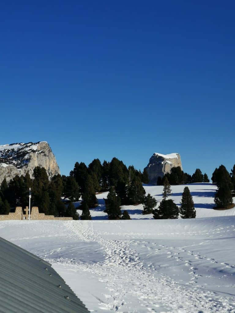 Plusieurs sapins avec le mont aiguille recouvert de neige