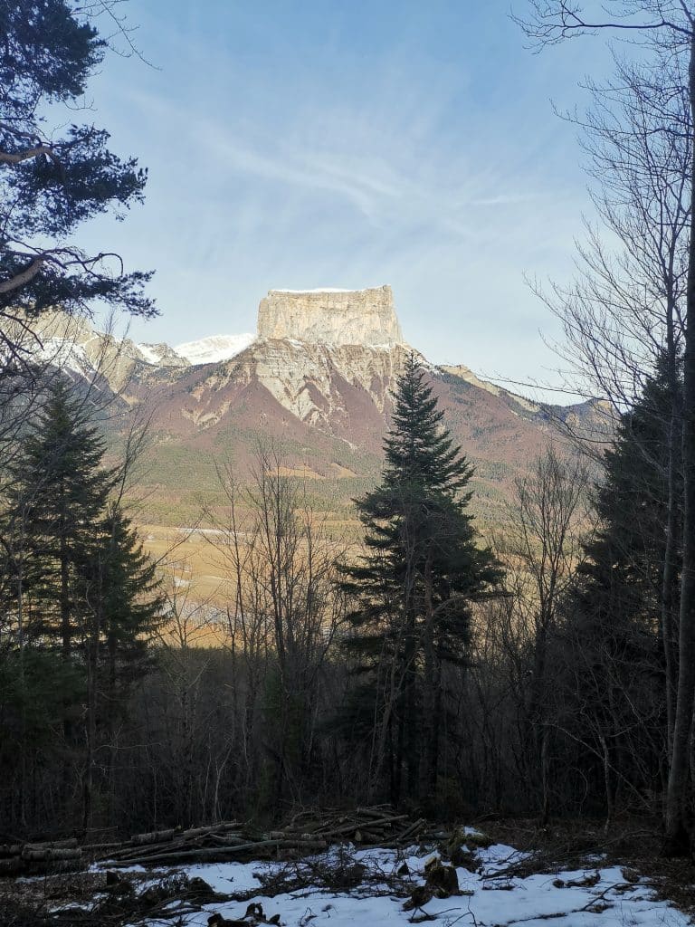 Sapins au premier plan avec le mont aiguille au fond