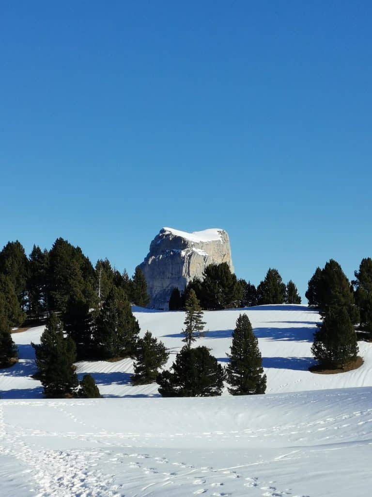 mont aiguille avec au premier plan des arbres et de la neige